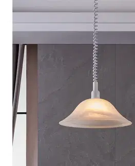 Svietidlá Eglo 3355 - Luster ALESSANDRA 1xE27 / 60W / 230V 3355