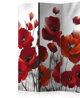 Paravány Paraván Poppies in the Moonlight Dekorhome