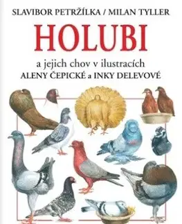 Vtáky, hydina Holubi a jejich chov - Petržílka Slavibor