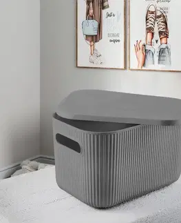 Doplnky do kúpeľne Desk Organizer ORG - 2026