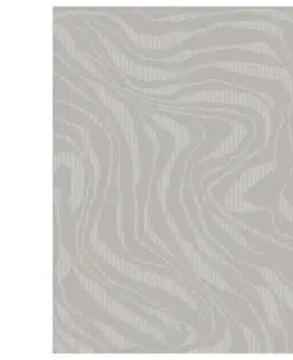 Moderné koberce Koberec Pierre Cardin Valeria 0,8/1,5 Yl17a