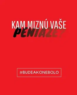 Odborná a náučná literatúra - ostatné Kam miznú vaše peniaze (Cvičebnica nového života) - Martina Valachová