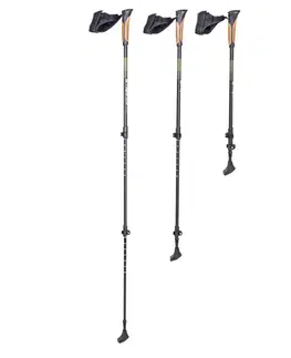 Trekingové palice Nordic walking palice inSPORTline Slogen