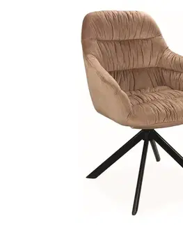 Stoličky Jedálenské kreslo ASTORIA VELVET II Signal