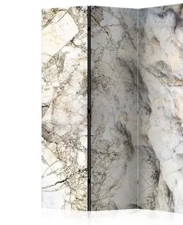 Paravány Paraván Marble Mystery Dekorhome