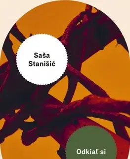Svetová beletria Odkiaľ si - Saša Stanišic,Milina Svítková