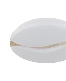 Svietidlá Globo 41790-20 - LED stropné svietidlo LETICIA LED/24W/230V pr. 39 cm 41790-20