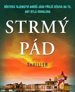 Detektívky, trilery, horory Strmý pád - Linda Castillo