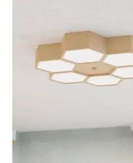Svietidlá Eglo 98863 - Stropné svietidlo MIRLAS 6xE27/9W/230V 98863