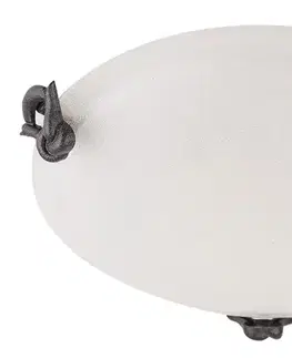 Stropná svetla Nástenné stropné svietidlo zo skla, stropné svietidlo 60W E27 30cm Eva