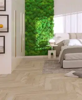 Promo BARLINEK Promo Dub balos herringbone 1WC000009