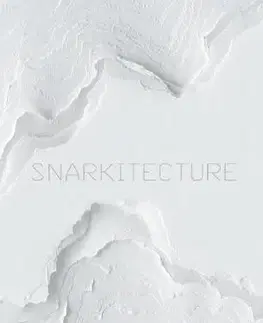 Architektúra Snarkitecture - Kolektív autorov