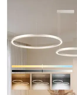 Svietidlá BRILAGI - LED stmievateľný luster na lanku PORTOFINO LED/98W/230V strieborná + DO BRI517