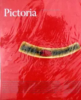 História - ostatné Pictoria (nemecký jazyk) - Pavel Dvořák