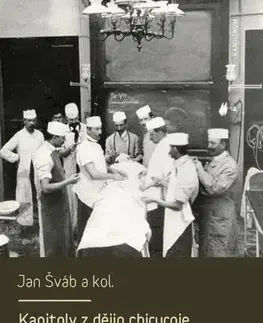 Medicína Kapitoly z dějin chirurgie v českých zemích - Jan Šváb