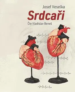 Beletria - ostatné Témbr Srdcaři - audiokniha