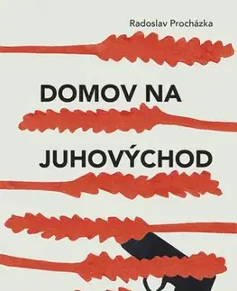 Detektívky, trilery, horory Domov na juhovýchod - Radoslav Procházka