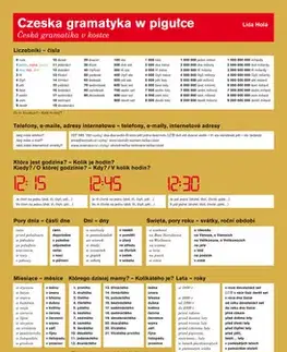 Jazykové učebnice, slovníky Czeska gramatyka w pigulce - Lída Holá,neuvedený