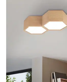 Svietidlá Eglo 98861 - Stropné svietidlo MIRLAS 2xE27/9W/230V 98861