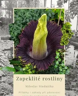 Izbové rastliny Zapeklité rostliny - Miloslav Studnička
