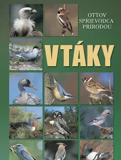 Biológia, fauna a flóra Vtáky - Ottov sprievodca prírodou