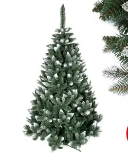 Vianočné dekorácie  Vianočný stromček TEM 250 cm borovica MSBRB 250