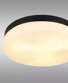 Lampy do obývačky Stropná lampa Vranos 32113B PLD1