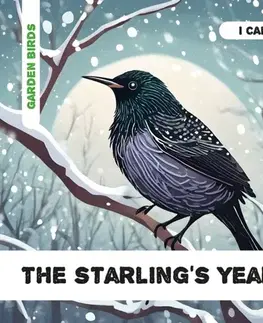 Encyklopédie pre deti a mládež - ostatné The Starling's Year - Caroline Petherbridge