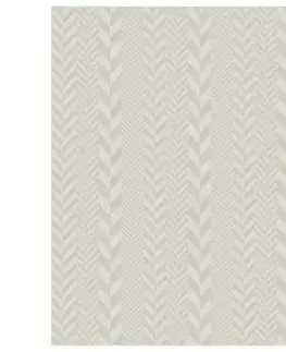 Moderné koberce Koberec Pierre Cardin Valeria 1,2/1,7 Yl12b
