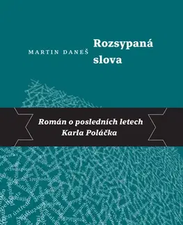 Romantická beletria Rozsypaná slova - Martin Daneš