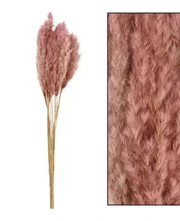 Záhradné dekorácie Umelá tráva Plume 80-90 cm