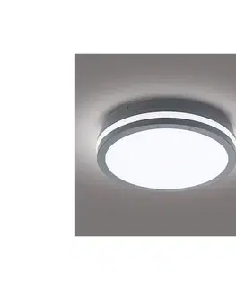 LED osvetlenie BRILAGI - LED Vonkajšie svietidlo BENE LED/24W/230V pr. 26 cm IP54 BRI046