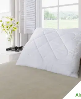 Vankúše Kvalitex Vankúš Aloe Vera so zipsom 300 g, 40 x 40 cm