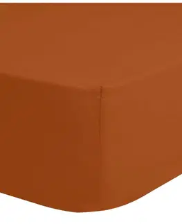 Plachty Posteľná plachta jersey tehlová TiaHome - 200x220cm
