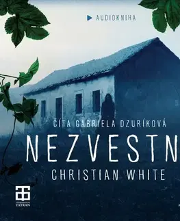 Detektívky, trilery, horory Publixing Ltd Nezvestná - audiokniha