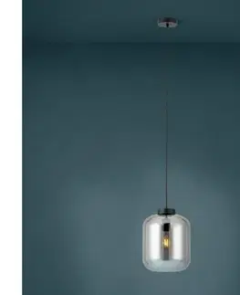 Svietidlá Eglo 39673 - Luster na lanku BULCIAGO 1xE27/40W/230V pr. 25 cm dymová 39673