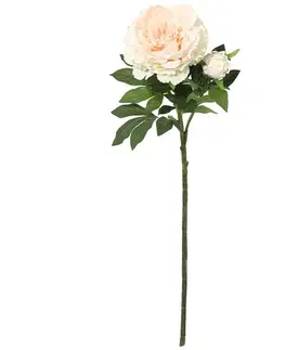 Záhradné dekorácie Vetvička Pivonka 112 cm