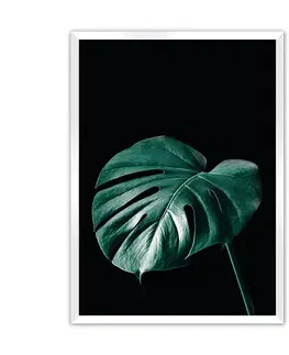 Obrazy Plagát Dark Monstera