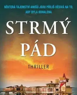 Detektívky, trilery, horory Strmý pád - Linda Castillo