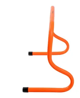 Ostatné fitness náradie Tréningová prekážka inSPORTline Dexteros 30 cm