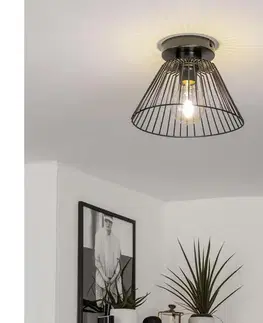 Svietidlá BRILAGI - LED Prisadený luster CERIA WIRE 1xE27/40W/230V pr. 30 cm čierna BG3988+EG300163