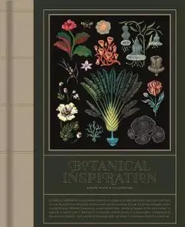 Maliarstvo, grafika Botanical Inspiration