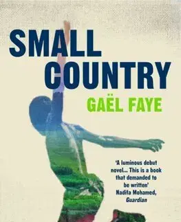 Svetová beletria Small Country - Gaël Faye,Sarah Ardizzone