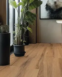 Creation 55 clic acoustic GERFLOR Creation 55 clic acoustic Cedar golden GERCAC55 1606