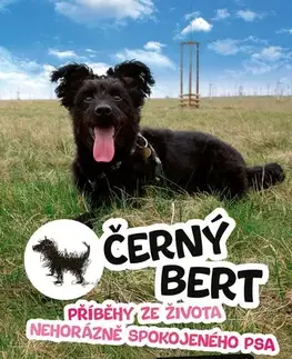 Novely, poviedky, antológie Černý Bert - příběhy ze života nehorázně spokojeného psa - Tomáš Moravec,Tomáš Moravec