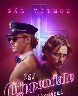 Detektívky, trilery, horory Egy Chippendale-fiú vallomásai - Gál Vilmos