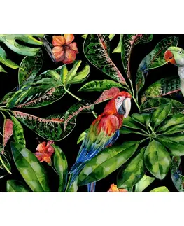 Obrazy Plátno maľba Tropical Birds