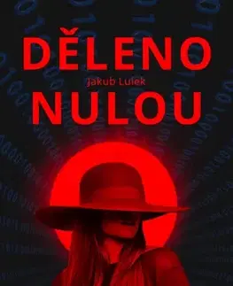 Romantická beletria Děleno nulou - Jakub Lulek