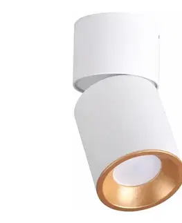 Svietidlá  Bodové svietidlo NIXA 1xGU10/10W/230V biela/zlatá 314260