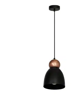 Svietidlá  Luster na lanku TAURUS 1xE27/60W/230V MLP3774
